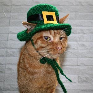 HAND CRAFTED Crochet St. Patrick's Day Cat Hat Costume Photo Prop